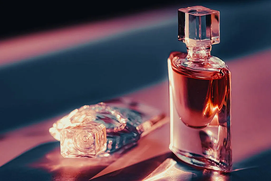 10 of the most interesting perfumes to wear in 2023 | Her World Singapore