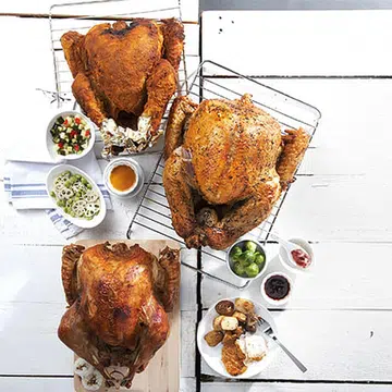 turkey T
