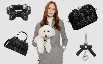 charles_and_keith_rect_image