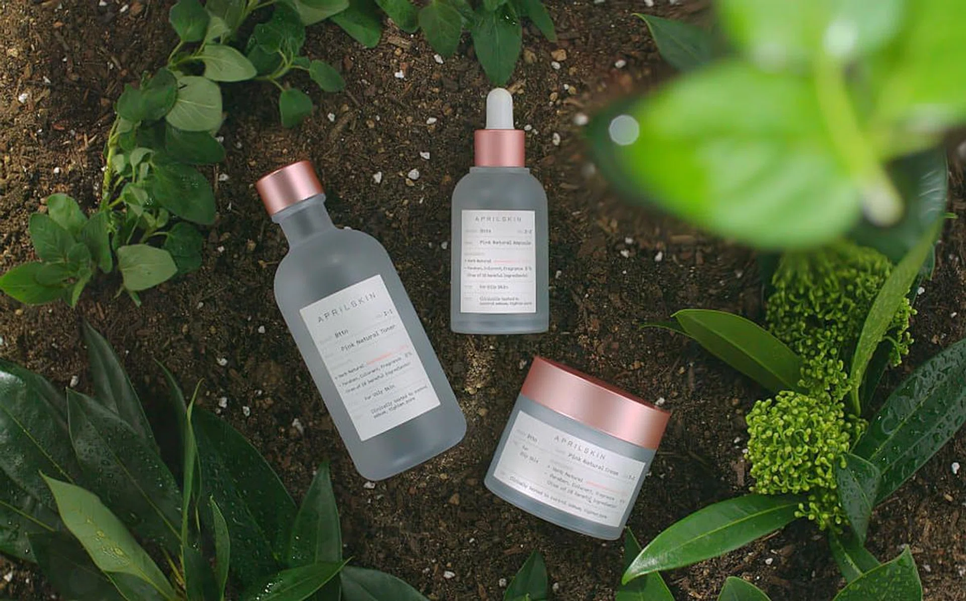 oil control skincare aprilskin natural range