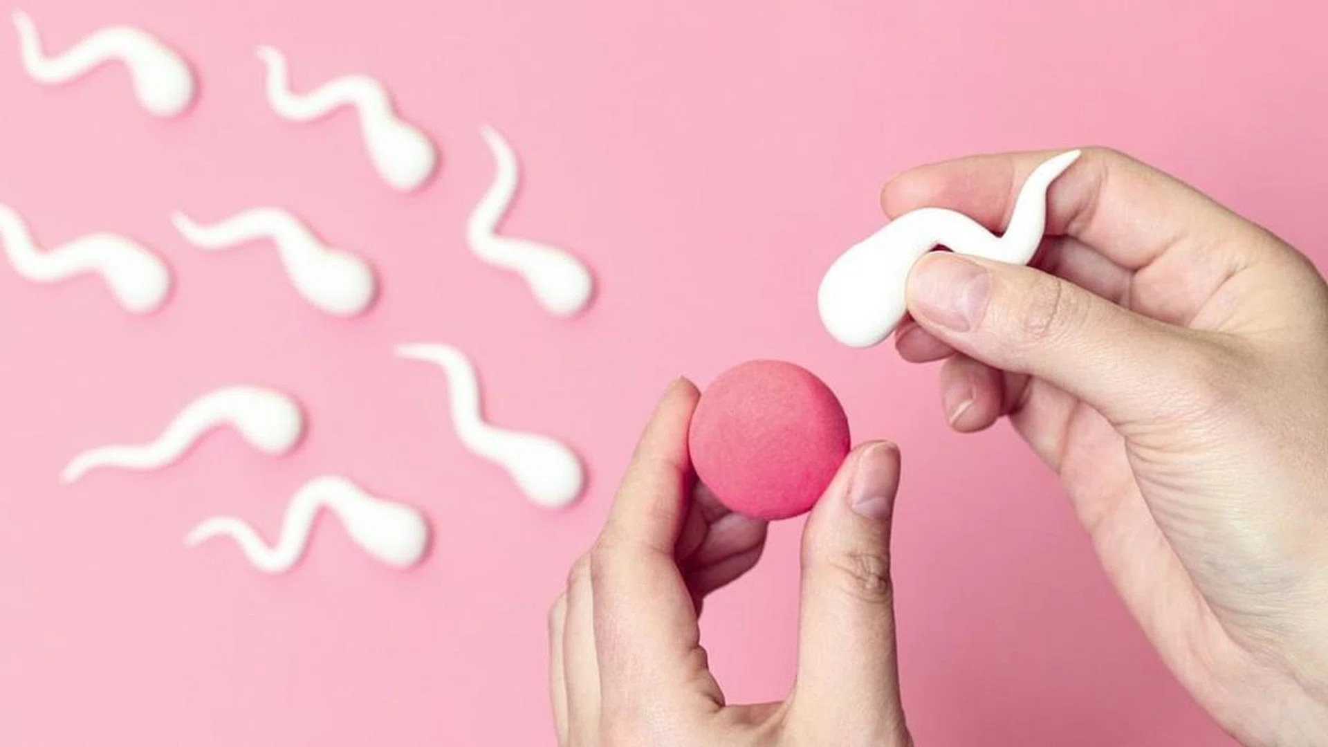 IVF(SG) more affordable less waiting time