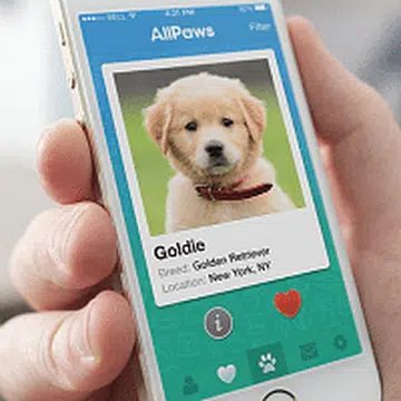 tinder for pets thumb_0.png