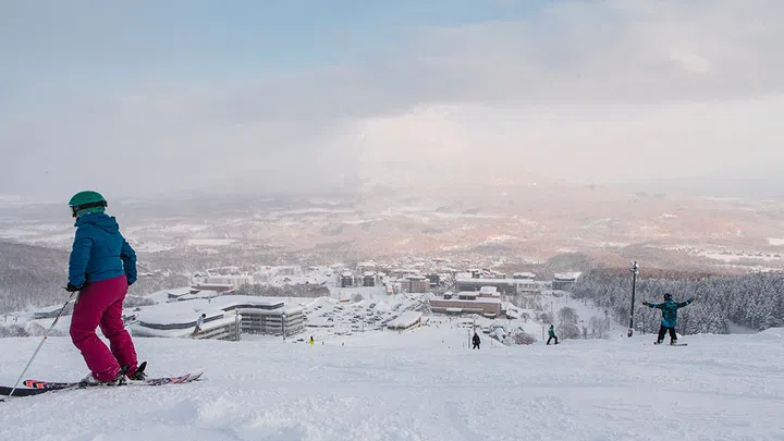 niseko hokkaido japan skiing