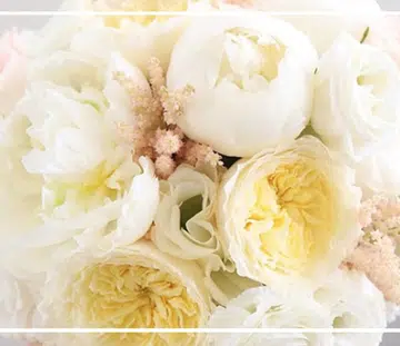 affordable_flower_alternatives_peony