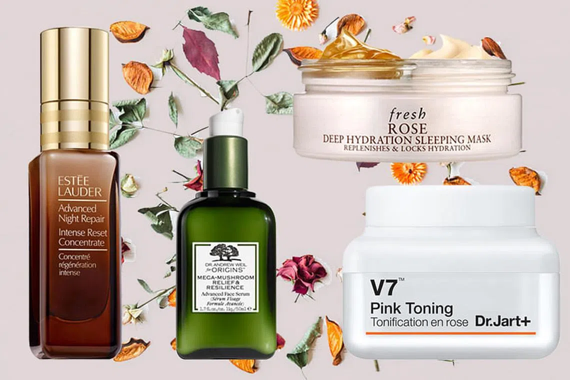 MOE様 Moisture Lotion & Saver セット Holidays — TCA Blog