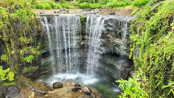 A cascading waterfall greets you as you approach Bird Paradise.