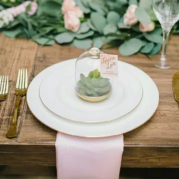 wedding favours succulents new thumbnail