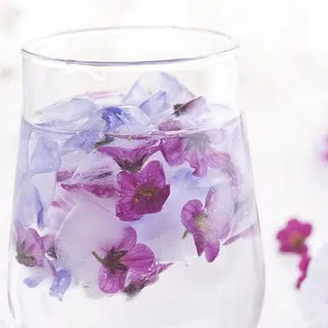 frozen_ice_cubes_tn