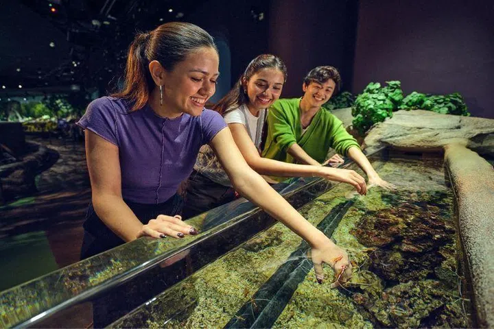 singapore-oceanarium-resorts-world-sentosa-coastal-shrimp-cleaner