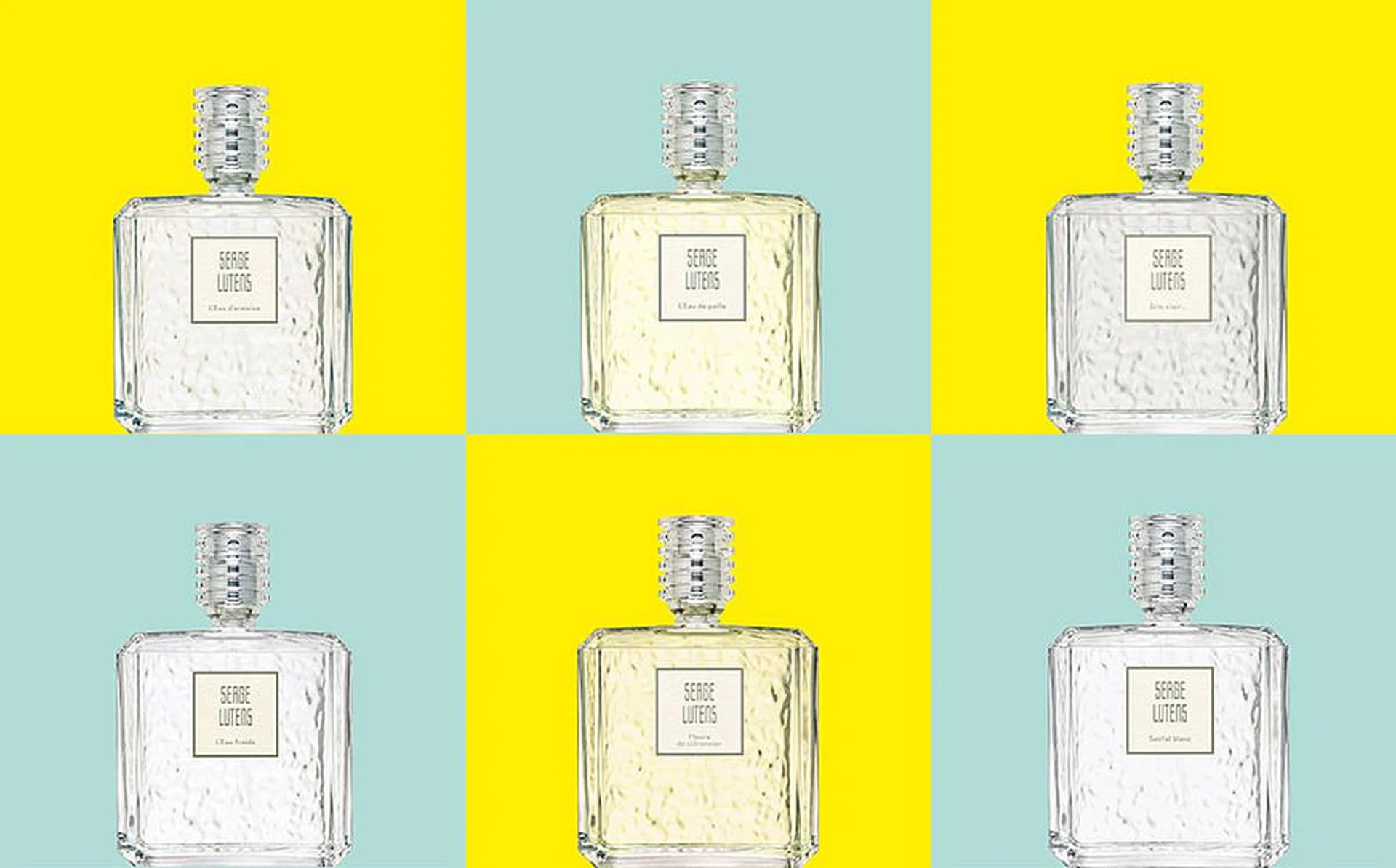 the_scents_of_politeness_900_x_560