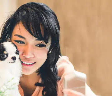 most popular dog breeds on Instagram