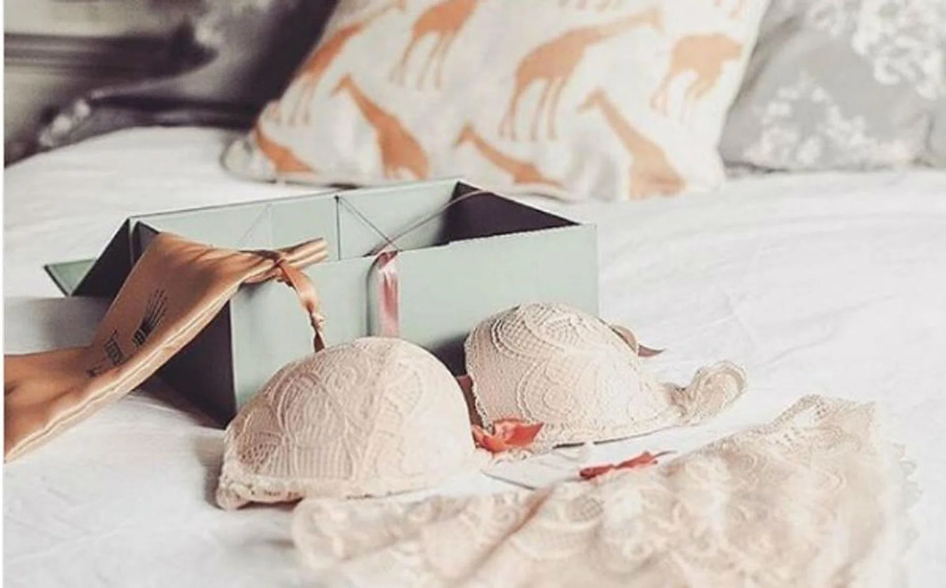 sex_box_anchor_rectangle