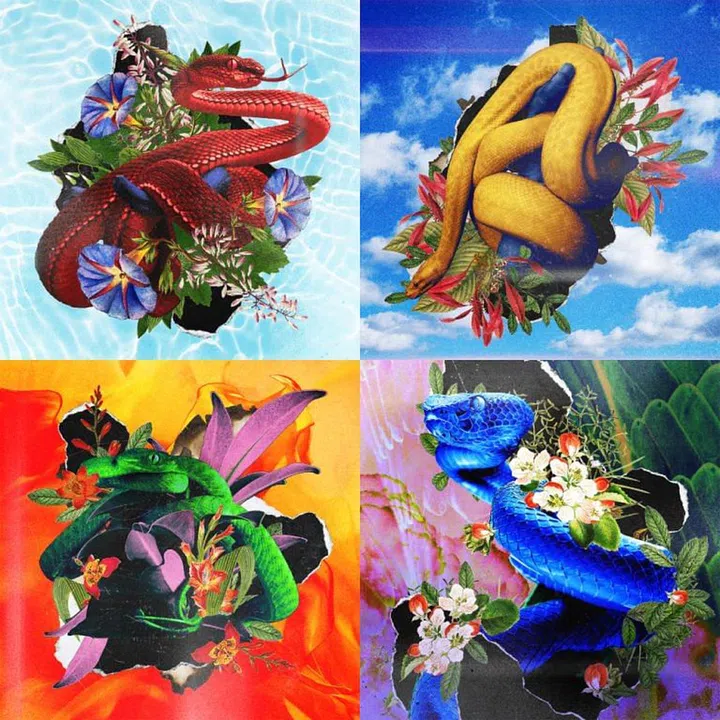 Credit: Natasha Hassan