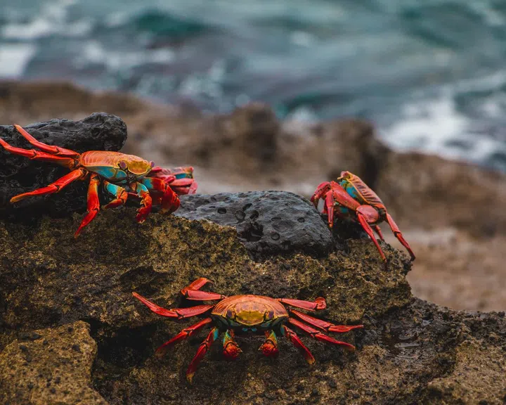 Amy Perez /Unsplash