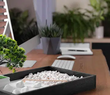 3 feng shui tips on how to keep cash flowing in the Year of the Rat