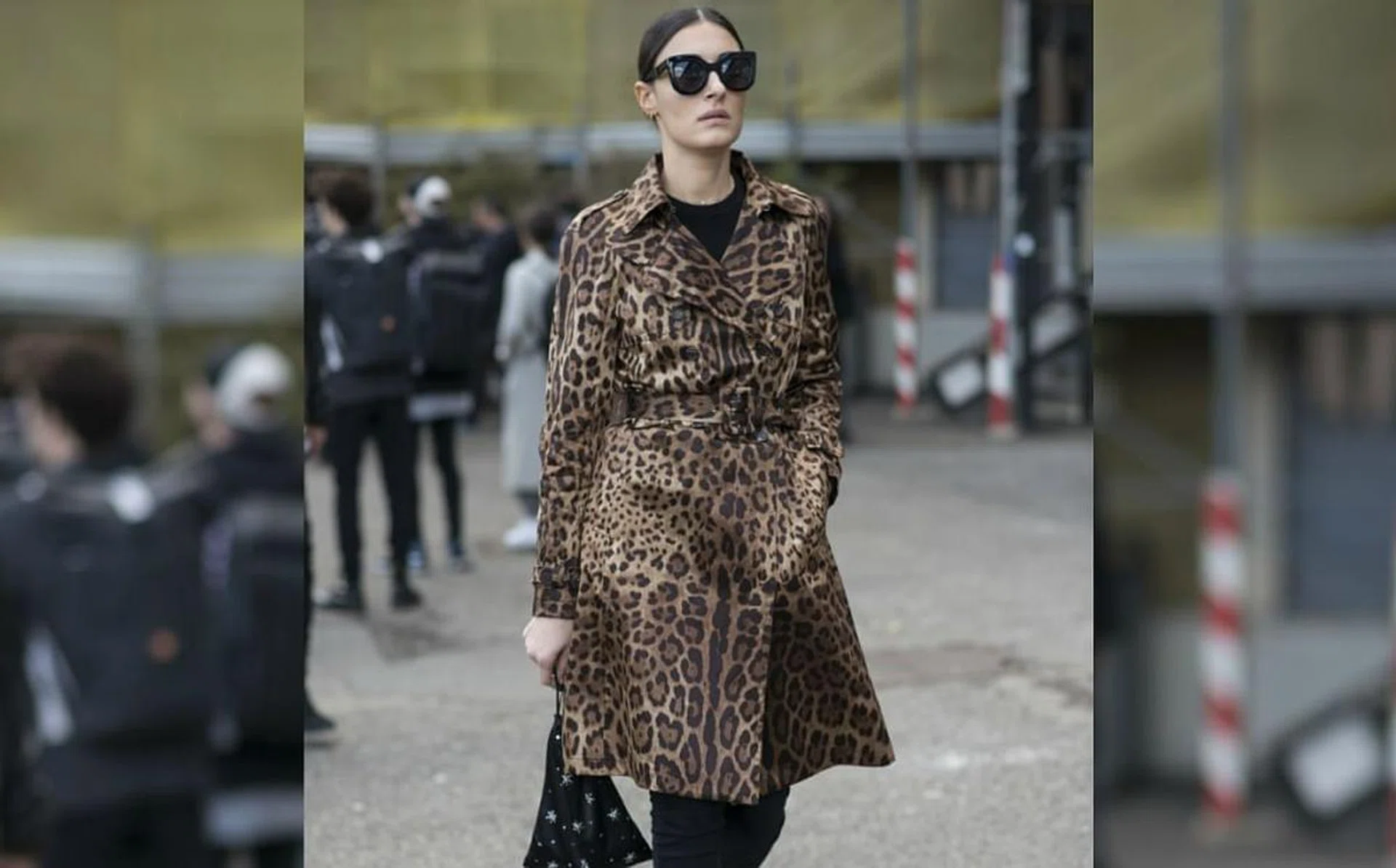 leopard_r