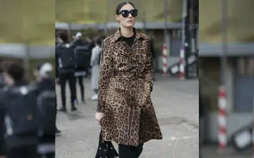 leopard_r
