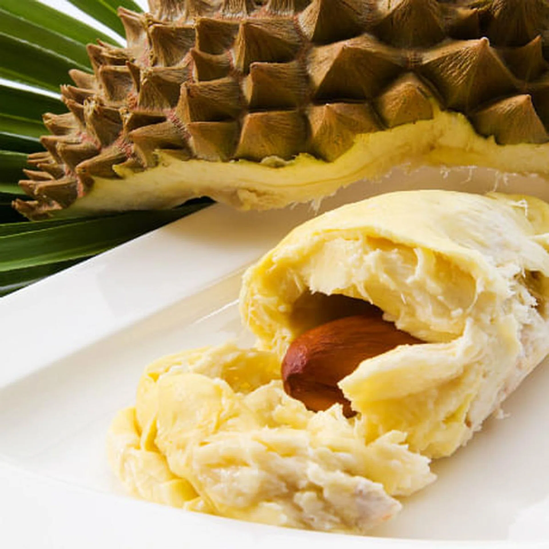 durian_thumbnail