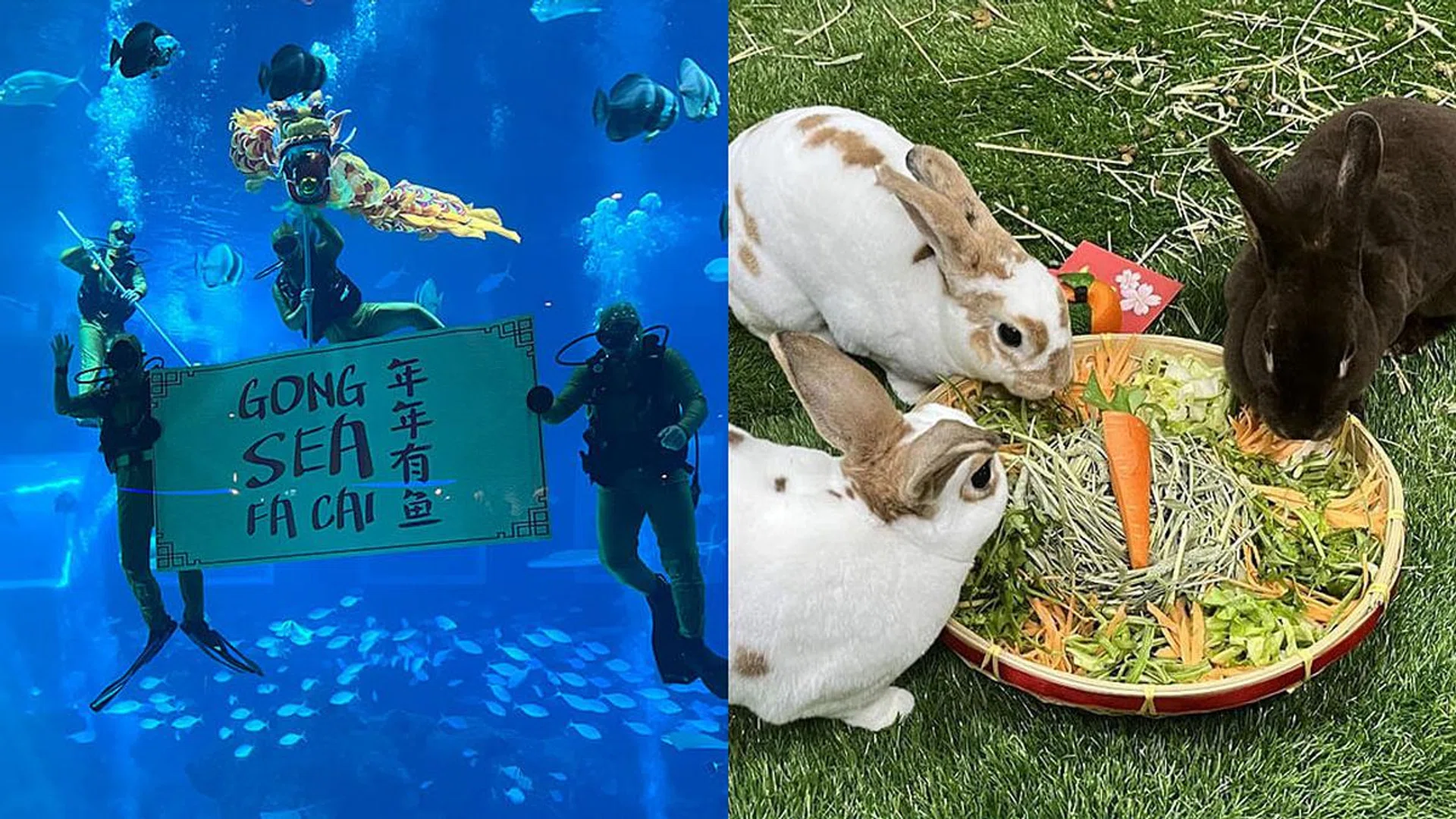 Credits: Her World/Shazrina, Mandai Wildlife Reserve