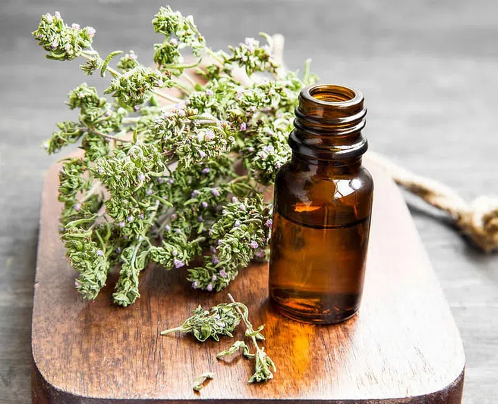 43567405 - thyme herb essential oil bottle on a wooden board