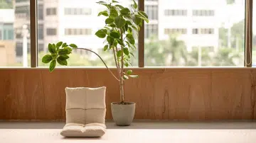 Good Peoples HK Wellness 2 copy