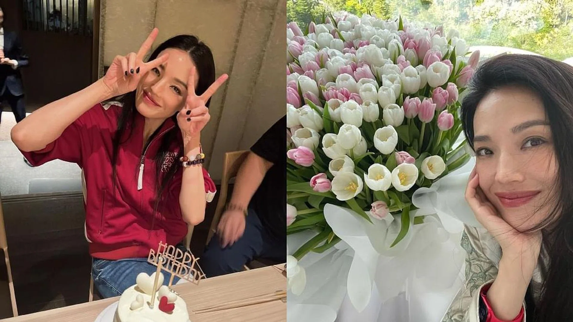 Credit: Shu Qi/Instagram