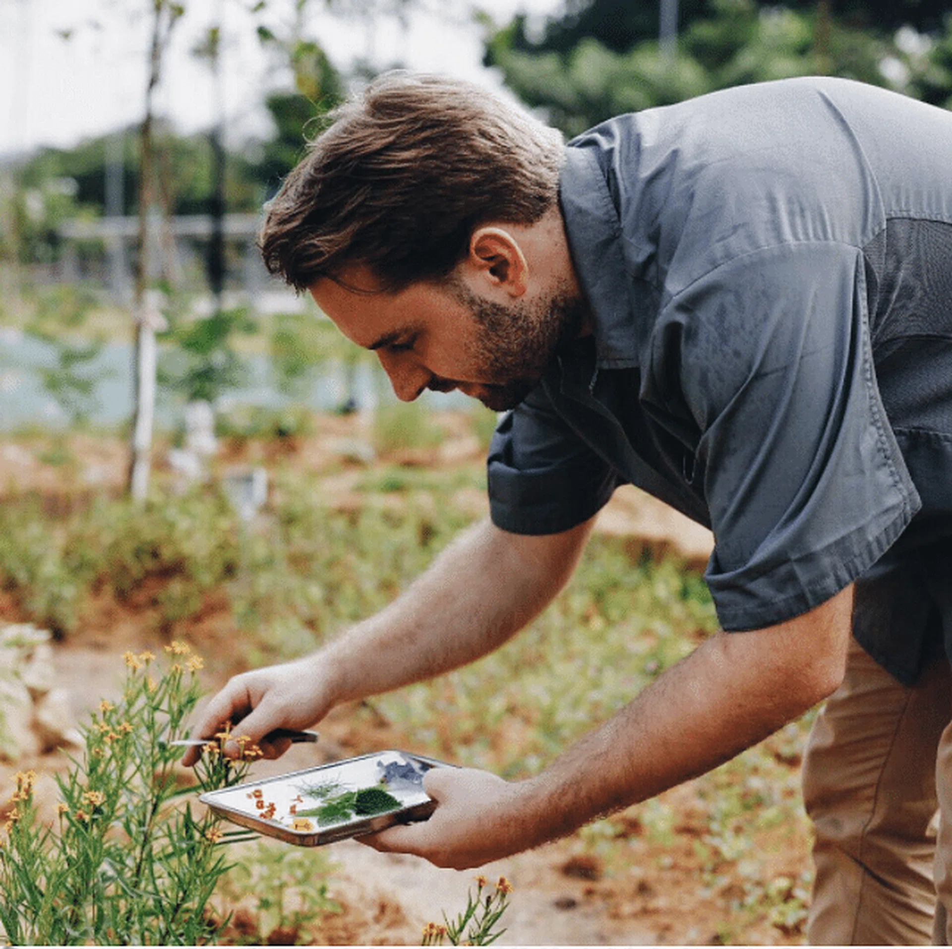 screen_shot_2017-03-11_at_02.16.00