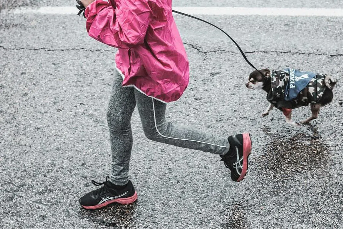 12 Best running shoes in Singapore (2024) Her World Singapore