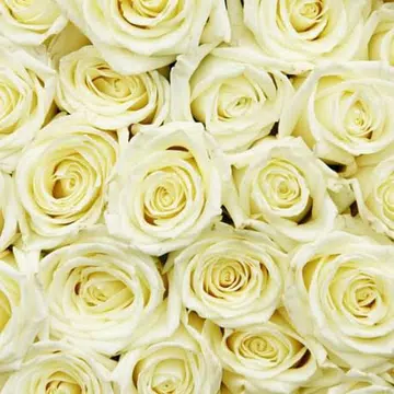 Flower power for good health