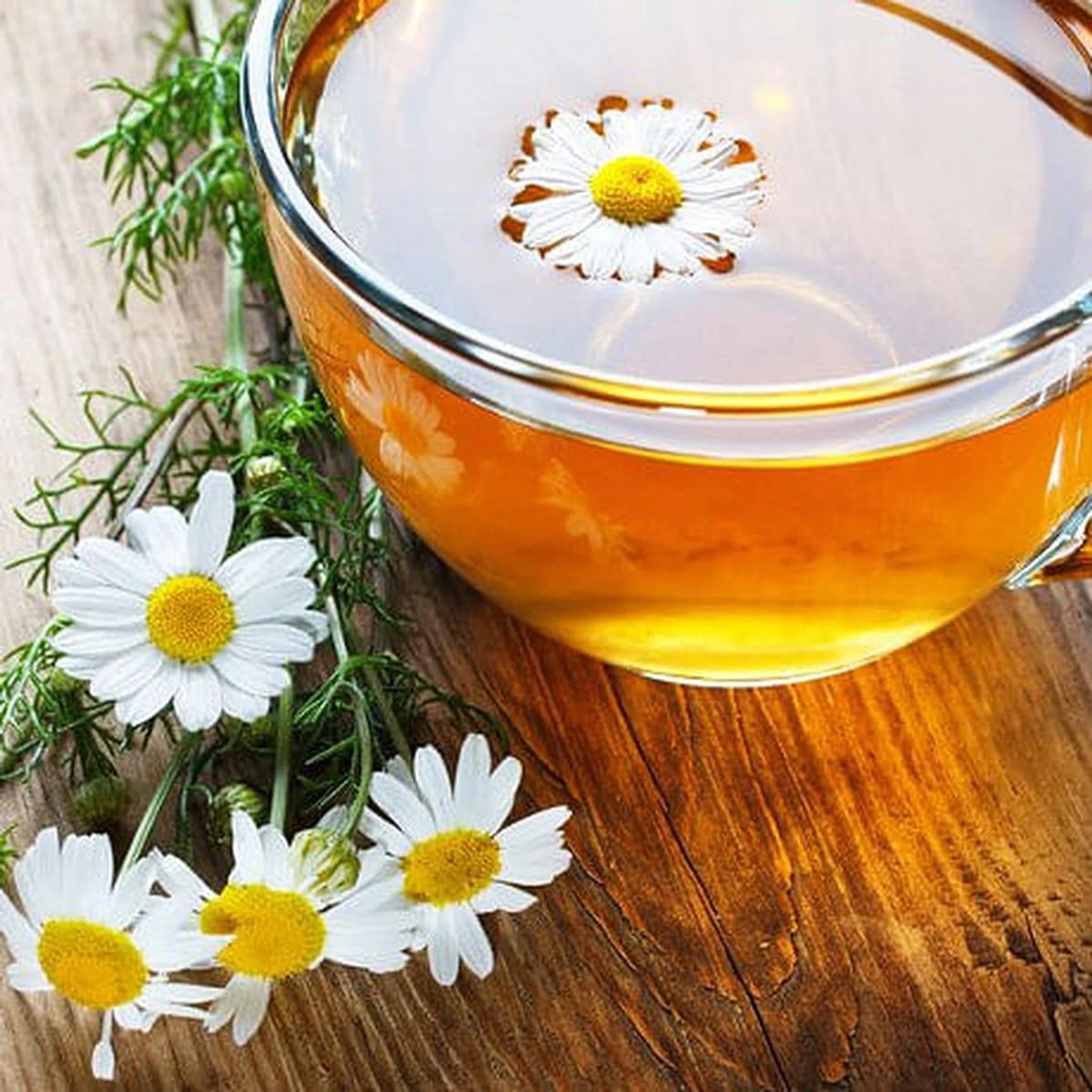 chamomile_tea_t