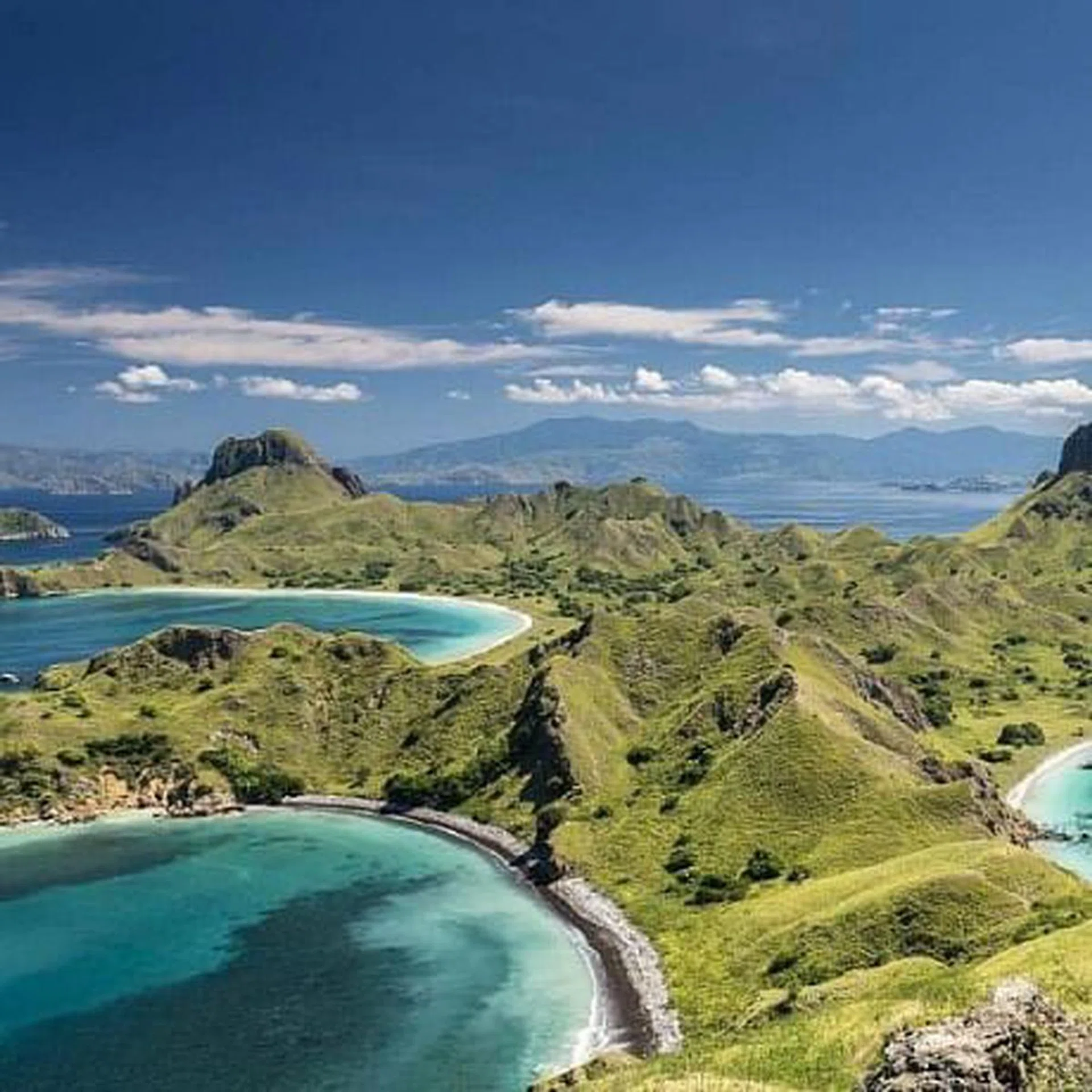 Land of the dragons - Komodo dragons