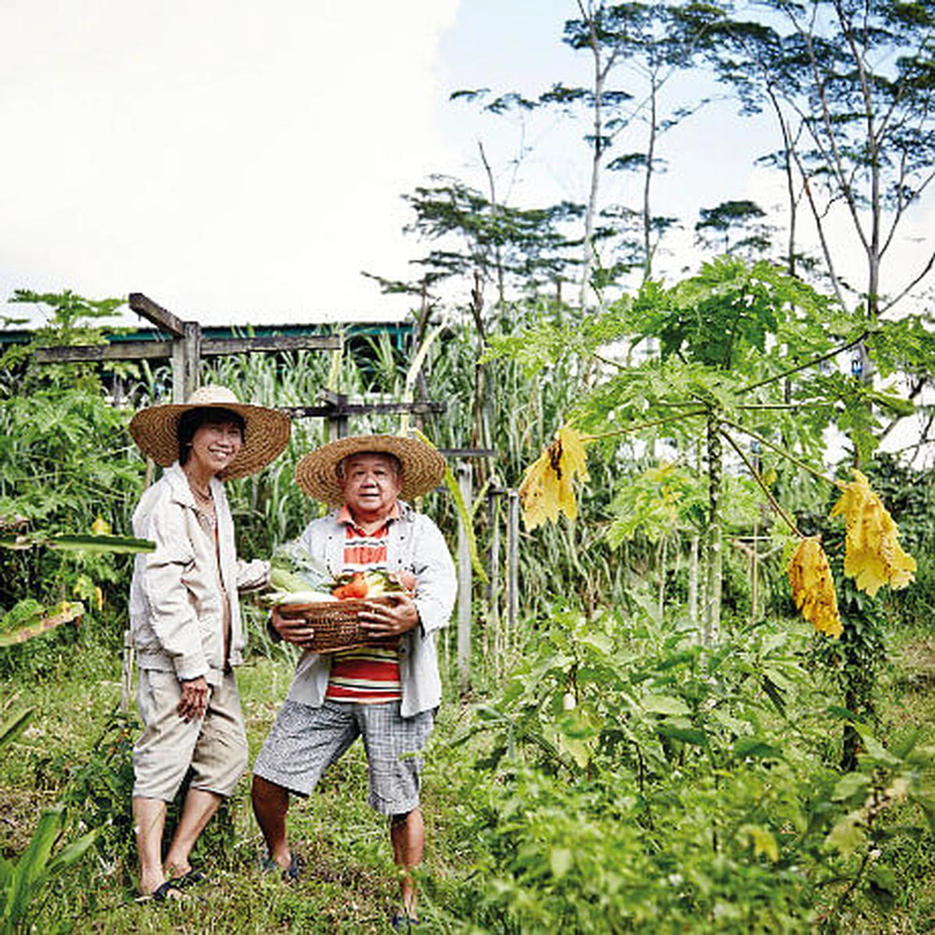 farm_to_table_t
