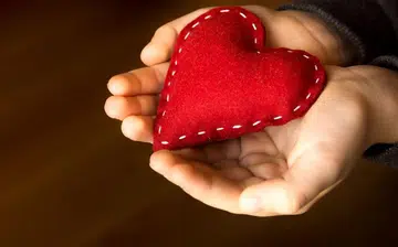 kind_swen_heart