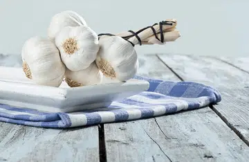 garlic bulb