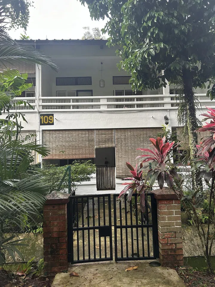 For residents of Jalan Hang Jebat, nature is found right at their doorstep.