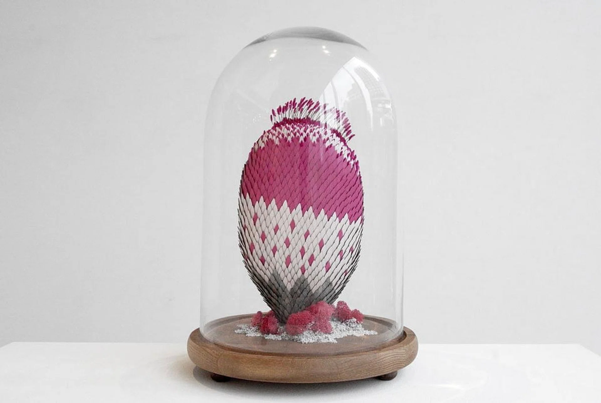 54131-plantae-vii-4000-from-k