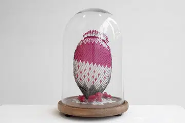 54131-plantae-vii-4000-from-k