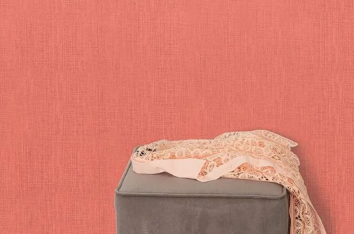 Dulux Ambiance paint feature wall