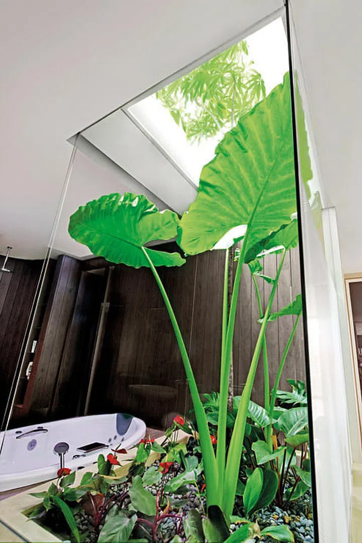 The bathroom links to the walk-in wardrobe of the master bedroom. No one will be able to peel into the bathroom from the rooftop terrace, thanks to the specially slanted sides of the skylight.
