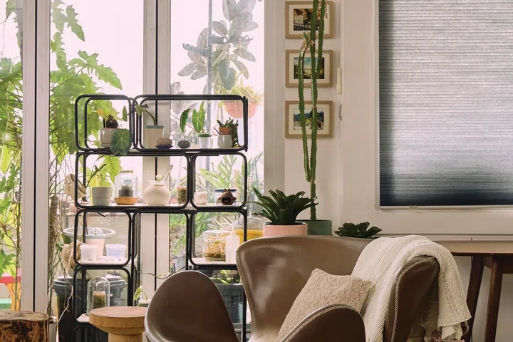 Some plants sit indoors instead to thrive.