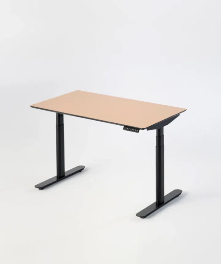QORE Cubeco Adjustable Desk is priced at 17,900 ฿.