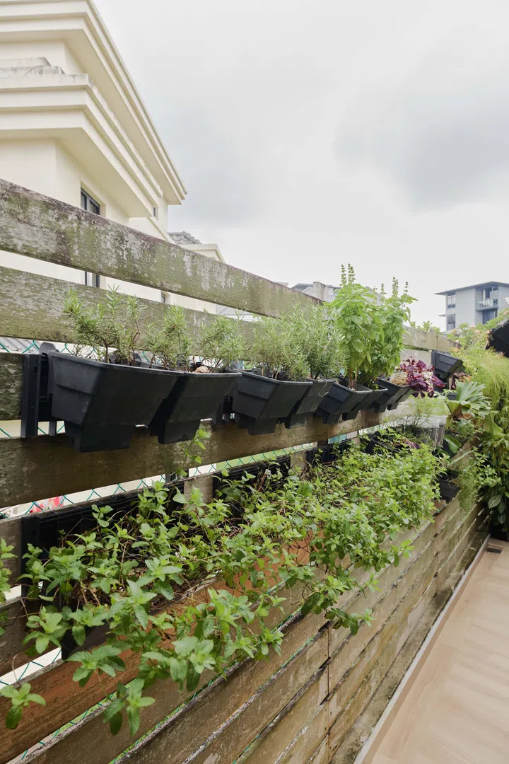 Edible herbs grow alongside the boundary fence, adding another layer of life to a garden designed to support birds, butterflies and other wildlife.