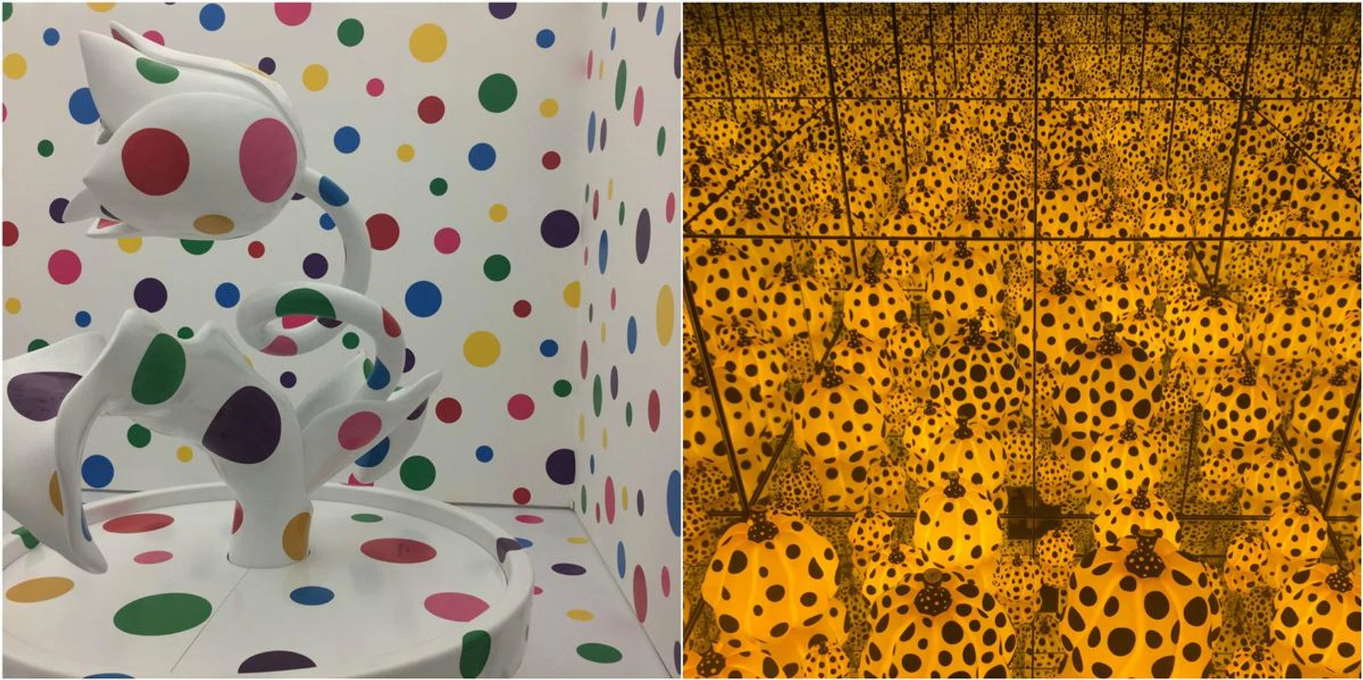 66245-yayoi-kusama-exhibition