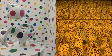 66245-yayoi-kusama-exhibition