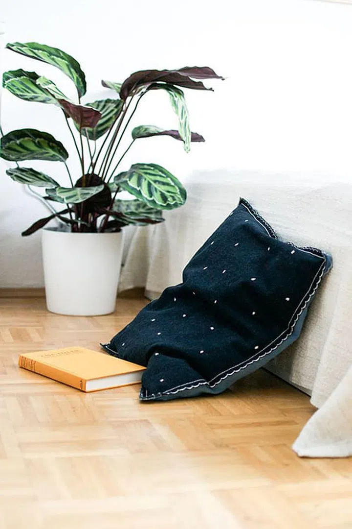 house plant, calathea, easy to care for, low maintenance, stripey