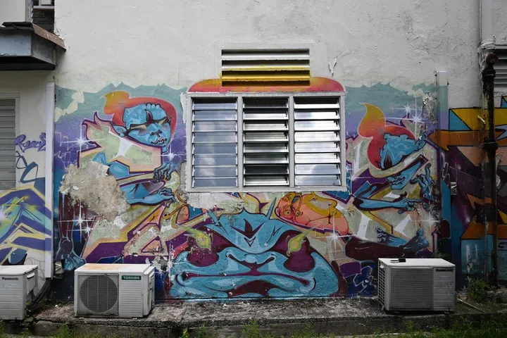 More graffiti found on the back alley walls of Pearl's Hill Terrace.