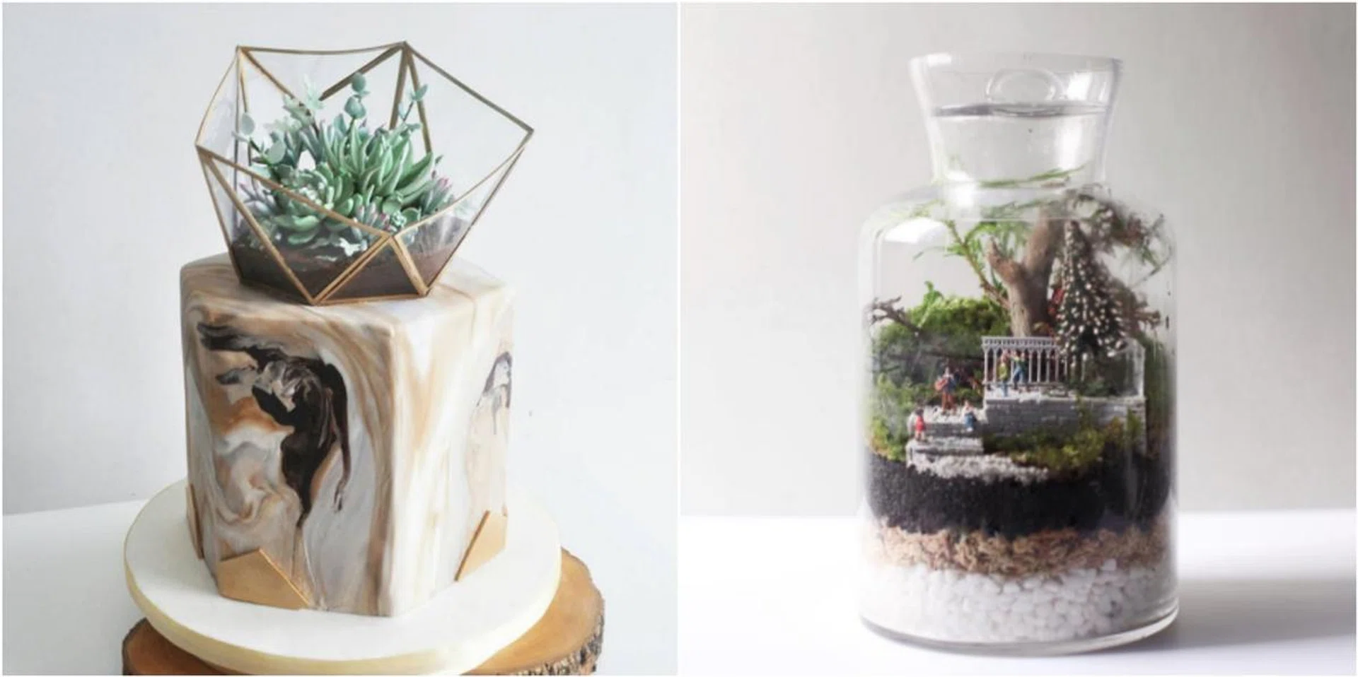 60880-terrarium