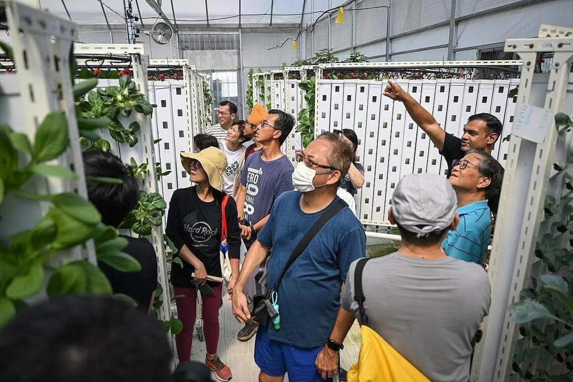Visitors at Greenhood rooftop urban farm in Hougang