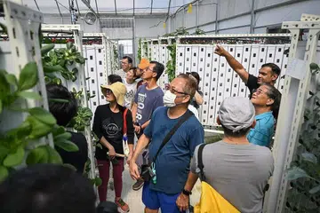 Visitors at Greenhood rooftop urban farm in Hougang
