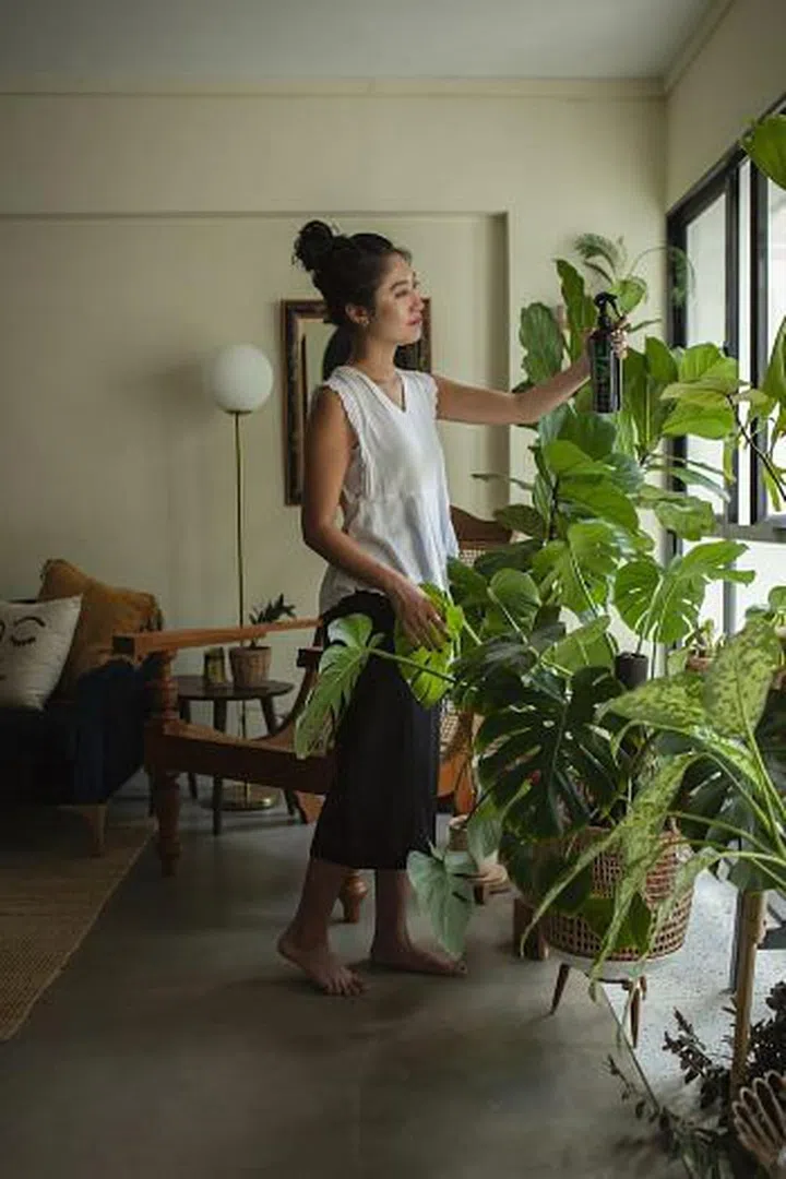 Plantonic can be used on all plants.